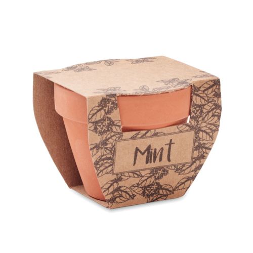 Terracotta pot Mint - Image 4